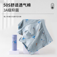 Brookings盒装4条少男内裤 棉质青春期男内裤 3DU凸平角裤