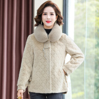 时尚新皮毛一体女装中老年女装40-60岁短款妈妈装仿水貂绒