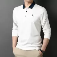 春秋新款男装休闲长袖T恤男士中年翻领polo衫爸爸装棉质T恤衫