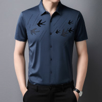 Ceba2023新款中年短袖T恤时尚休闲薄款夏季体恤POLO衫男装