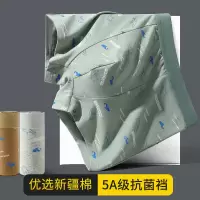Ceba夏季新款男士内裤款男生平角四角短裤头短衩大码全棉青少年
