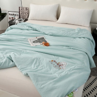 Three Sons水洗棉夏凉被儿童被子大豆空调被夏季被芯活动礼品夏