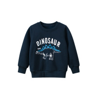 27kids品牌童装秋冬季跨境服饰儿童卫衣加绒套头衫男宝宝衣服