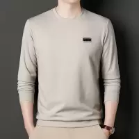 春季新款青年潮流合体长袖卫衣圆领日常休闲百搭简约徽章卫衣T恤