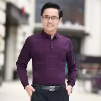 春季真口袋商务休闲宽松版爸爸装长袖简约条纹T恤男中年polo衫