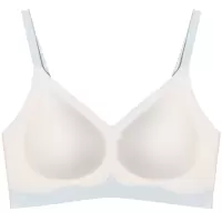 软支撑秋冬新款法式女士胸罩无痕内衣女小胸聚拢薄款文胸无钢圈