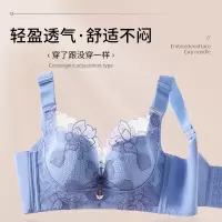 新款夏无磁铁无钢圈全罩杯刺绣大码内衣女调整型大胸显小收副乳罩_196