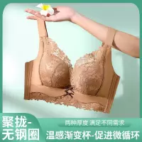 内衣女性感蕾丝小胸聚拢上托显大调整型收副乳薄款大胸显小文胸罩