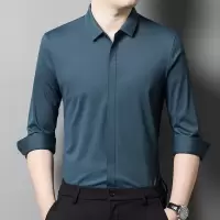 衬衫男年春季新款无痕弹力暗襟翻领休闲纯色男士衬衣