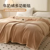 秋冬季毛毯高克重法莱绒牛奶绒保暖欧式纯色绒床单超柔牛奶绒毛毯