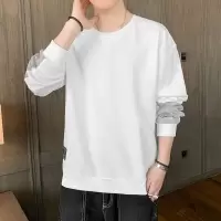 春秋长袖卫衣男士韩版潮流内搭打底衫青少年宽松潮牌休闲圆领T恤