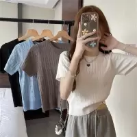 复古圆领短袖T恤针织衫女装薄款夏季设计感修身短款学生上衣