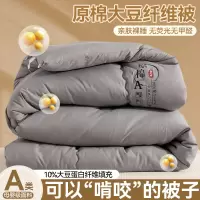 A类原棉大豆被加厚春秋被大豆纤维被芯冬被被子礼品棉被