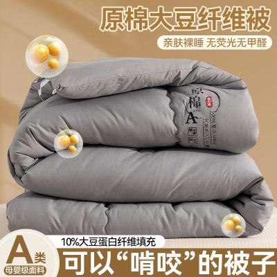 A类原棉大豆被加厚春秋被大豆纤维被芯冬被被子礼品棉被