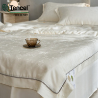 A类母婴蚕丝100支兰精天丝提花夏凉被冰丝空调被芯床笠款被子