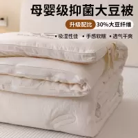 原棉A类母婴级全棉30%含量大豆纤维被春秋被冬被子加厚被芯