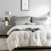 新款高端羊绒蛋白被子无比柔软被芯80羊绒蛋白大提花杜邦减菌技术