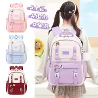 邵东工厂儿童书包女生小学生女童初中生女双肩包大容量轻便高颜值