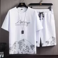 印花潮流短袖T恤套装男韩版夏季新款冰感大码宽松篮球运动两件套