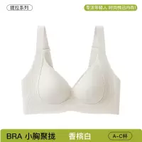 反重力提拉内衣女聚拢防下垂小胸薄款上托软支撑果冻胶无钢圈文胸