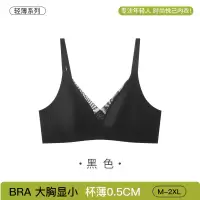 轻奢油光布超薄文胸大胸显小软支撑兔耳杯无痕内衣女士防凸点胸罩