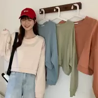 6535棉宽松薄款卫衣女秋冬休闲短款圆领纯色长袖T恤女露脐上衣女