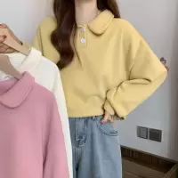 冬季新款韩版小个子上衣女POLO领洋气宽松短款卫衣设计感小众