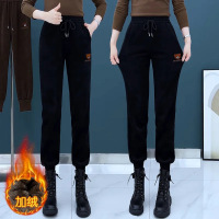 加绒加厚束脚休闲裤女秋冬季新款宽松时尚百搭毛裤小熊刺绣哈伦裤