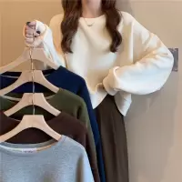 秋冬新款韩版纯色圆领宽松女士卫衣女学生薄款上衣潮
