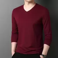 珠地桑蚕丝长袖T恤男士V领2025春季新款纯色休闲透气舒适打底衫男