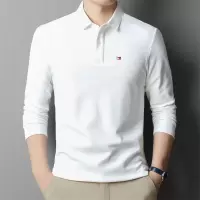 纯棉polo衫男2025春季新款翻领长袖商务休闲透气长袖t桖男装