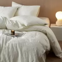 A类春夏南通床品60支轻奢高级感全棉四件套浮提花床单被套被罩