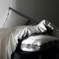 高端轻奢后现代100支奥地利天丝棉四件套蕾丝花边床单被套床品