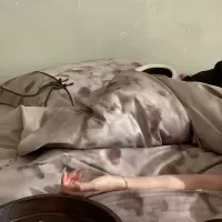 高档轻奢120支超细旦天丝棉磨毛四件套秋冬印花亲肤被套床品