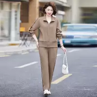 洋气中老年女装宽松妈妈套装春秋新款40岁加大加肥中年女春款衣服