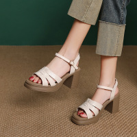 头层牛皮罗马凉鞋女2025春夏新小个子粗高跟防水台增高一字扣外穿