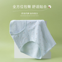 盒装4条纯棉女士内裤 印花女士棉质内裤 中腰碎花三角裤女