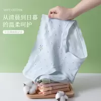 盒装4条纯棉女士内裤 印花棉质女士内裤 中腰无痕内裤女士