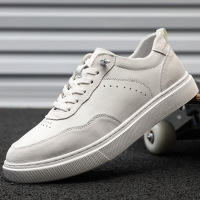 板鞋男春季新款潮鞋男款百搭高级感真皮小白鞋运动休闲男鞋