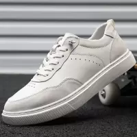 板鞋男春季新款潮鞋男款百搭高级感真皮小白鞋运动休闲男鞋