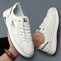 男鞋子百搭真皮小白鞋2025春夏季新款厚底休闲鞋透气运动板鞋男款