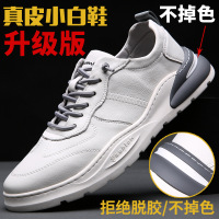 春秋季小白鞋男加绒真皮运动休闲潮鞋子韩版保暖男鞋青年百搭板鞋