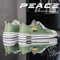 2025年新款春夏季男士休闲时尚透气日常百搭潮流低帮男款帆布板鞋