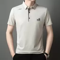 男士短袖T恤纯色百搭Polo衫2025夏季商务休闲男装冰丝翻领体恤潮