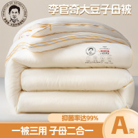 A类李官奇大豆子母被大豆纤维被子被芯加厚冬被保暖被芯礼品
