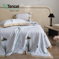 夏季莱赛尔天丝夏凉被四件套轻奢凉感冰丝滑空调薄被子被芯