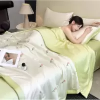 夏季轻奢a类母婴级夏凉被凉感天丝四件套礼品夏被冰丝空调被