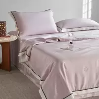 高级感天丝蚕蛹蚕丝夏凉被四件套夏季冰丝可水洗空调被子被芯