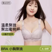 2025新款无钢圈内衣女小胸聚拢防下垂收副乳调整型性感蕾丝文胸罩