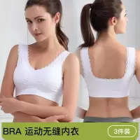 3件装无缝女士蕾丝瑜伽运动文胸背心式无痕运动内衣舒适透气胸罩